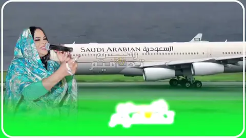 الغربة نار #الفنانه_منال_البدري  #سودانيز_تيك_توك🇸🇩  #رامي 