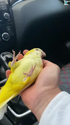 ان مع العُسرِ يُسرا