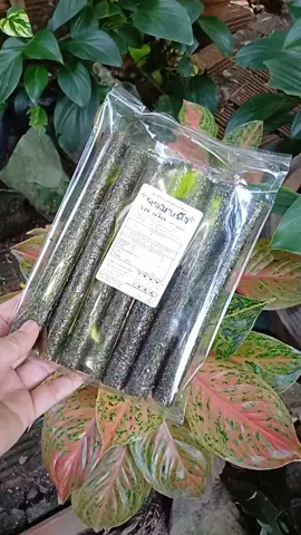 #สาหร่ายม้วนอบกรอบ #สาหร่าย #สาหร่ายอบกรอบ 