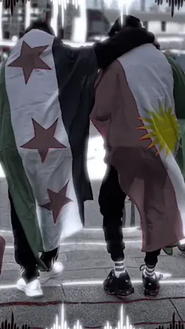 علم الثورة 💚✌️🤝 وعلم الأكراد 🇹🇯✌️💚👑🫡