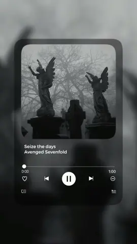 next request?#seizetheday #a7x #lyrics #lyricsvideo #fyp #fypシ #foryou #foryoupage #xyzbca 