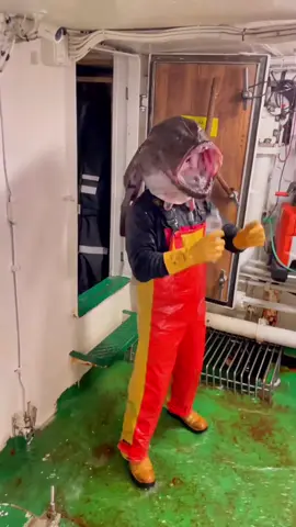 Casual Norwegian fisherman's day 😅  (IG🎥: @benjamin_bakke) #extreme #unreel #fishing #boatlife #norwegian 