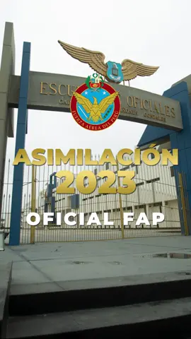 #Asimilación2023 | La Fuerza Aérea del Perú a través de la Dirección General de Personal anuncia la ampliación de inscripciones hasta el 2 de noviembre, a los concursos de asimilación para Oficiales y Suboficiales de la FAP. Como Oficial FAP en las especialidades de Medicina General, Jurídico y Psicología; así como Suboficial FAP, en las especialidades de Banda Militar y Finanzas. ¡No pierdas esta gran oportunidad y aprovecha para inscribirte! 🧑🏻‍✈️👩🏻‍✈️                                                                                                                                                                                                                                                                                                                                                                                                                                                                                                                                                                                                                                                 Para mayor información sobre los requisitos ingresa al siguiente link 👉🏻https://bitly.ws/XwU4 O pide más información al WhatsApp 👉🏻 https://wa.me/973887651