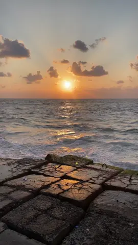 #فاضى_شوية #فاضى_شويه #حمزة_نمرة #حمزه_نمره #موج_الدنيا_أناني_وعالي 