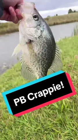 When youre fishing for largemouth and find a monster crappie….caught on a Mepp’s rooster tail. #pondfishing #pondfishingbelike #bankfishing #fishtok #teamfishtokohio #ohiofishing #daiwa #uglystik #mepps 