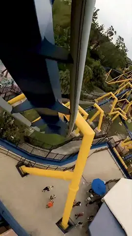 Montu Rollercoaster at Busch Gardens Tampa🎢 #buschgardens #buschgardenstampa #montu #rollercoaster #coaster #coasterenthusiast #coastertok #themepark #amusementpark #fyp #foryou 