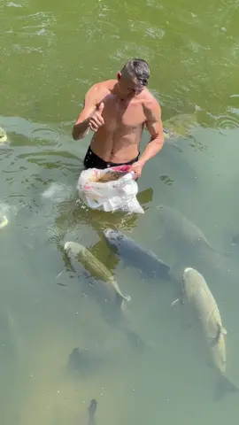 #valdemir   Encanador de peixe 