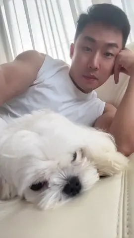 今天在家陪陪我最好的朋友...#不养狗不知道养狗的乐趣 #马尔济斯