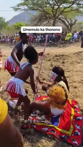 #reeddance #zulunation #zulum #umemulo #viraltittok #fypシ゚viral #foryou #fypシ゚viral #fashionshow #africanqueen #fashionshow #southafricanculture #southafricansong 