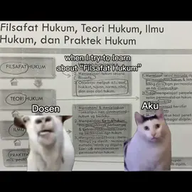 apa itu paradigma #filsafat #hukum #filsafathukum 