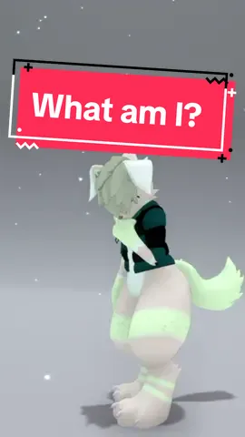 Mm, croissant.. #fyp #foryoupage #vrchat #vr #vrchatmemes #vrchatfurry #furry #furrymeme #vrchatfurry #furryvrchat #regulus #regulusvrchat 