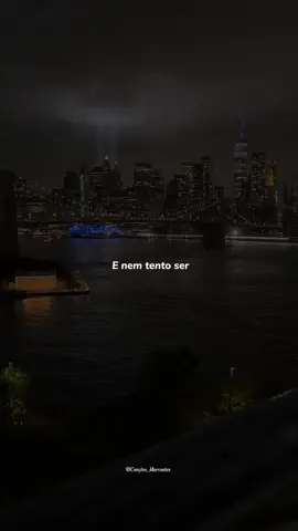 Eu não sou perfeito e nem tento ser...😍❤️🎶 #gustavomioto #melhorversão #sertanejo #tipografia #romanticas #musicastatus #fyp 