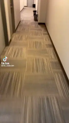 Ingredientes Gergelim  Fibra de maçã Germe de trigo Farinha de Aveia Benefícios Produz a Dopamina (hormônio do bem estar) Reduz o cansaço mental Energético natural Inibe a absorção de gordura no organismo Traz saciedade Controla o colesterol #casadonorte #emporiosaudavel #alimentacaosaudavel #produtosdeliciosos #emporio #soluçõesnaturais #produtosdealtaqualidade #emagrecer #energía 