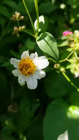 Is this love?.. #letrasbonitas #letrasdecanciones #lyricsvideo #moon #skymagic #cielosbonitos #bobmarley #isthislove 