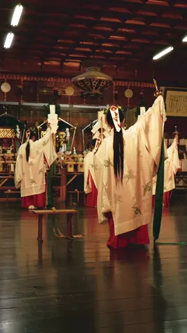 今年の琴弾八幡宮秋季大祭で行われた神楽奉納の様子です。 A kagura dedication at the Autumn Grand Festival held at Kotodomi-Hachiman Shrine in Kanonji City, Kagawa Prefecture. #香川県 #神楽 #琴弾八幡宮秋季大祭 #観音寺 #四国　