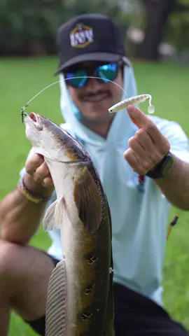 Nothing more electric than crushing giants on the topwater!! 🔥 Go catch yourself some bigger fish with the fish guy mystery box😎 #fishing 