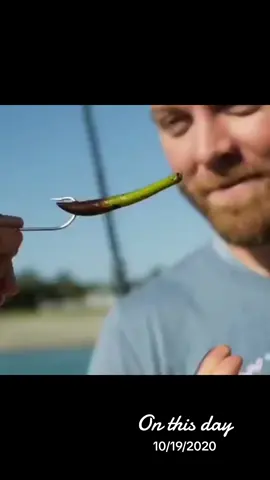 #onthisday #fyp #fypシ #fy #viral #fish #fishing #gofishing #topwaterfishing #explore #اكبسلور 