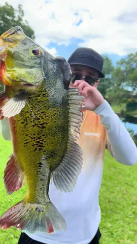 This fish did not look that big in the water! 🔥 @Kitchen #Stackz954 #FloridasFavorite #ExoticExpress #Florida #Fishing 