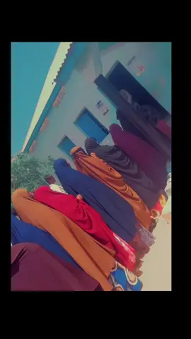 #documatory ugu sameynta badan nolashayda buu kujiraa#shaqadii#diwangalinta dorashada dadweynaha ee gudiga doorashoyinka#ole olihii iyo #dhaarintii xubinimada golaha deegaanka degmada #gaalkacyo_puntland  ee gobolka #mudug@Salahudiin Shuuke @JINIGA CAD🤴👑🤍 