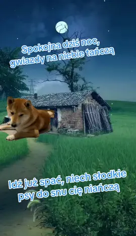 Dobranoc kochani