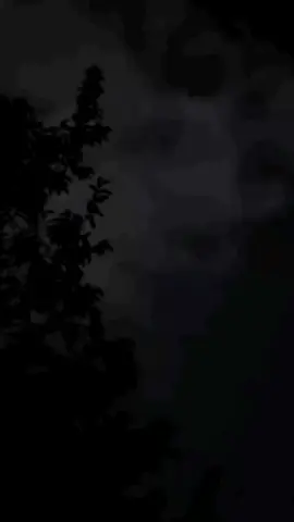 اذا النسيان بينسي 😴💔#اكسبلور #الهاشتاقات_للرخوم #اكسبلور_تيك_توك 