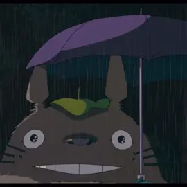 Totoro is the cutest #studioghibli #totoro #mynieghbortotoro #ponyo #rain #music #howlsmovingcastle #rainy #japan #japanese #cute #vibes 