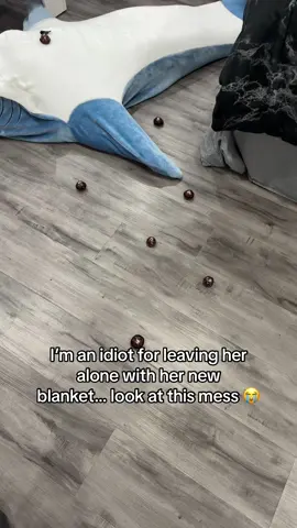 I left her alone for 5 MINUTES🤦‍♂️ #viralfinds #viral #foryoupage #trending #couplegoals #sharkblanket #fyp #cozyshark 