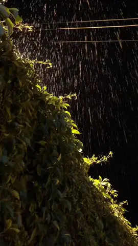 باران بارى ل سه ر خه تئ بيهنا ئاخئ تئ ژ بن خه تئ  كراسئ مرنئ ل  سه ر خو داخينه 🥹🥹🥹#foryou #zaxokamn #zaxo_duhok_hewler_slemani_hawler_karkuk #onthisday #CapCut #batifa 