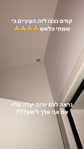 אני בחרדות 
