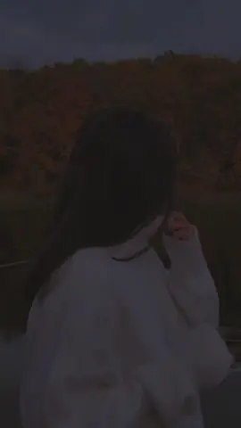 Video Clip🌹💖#paratii #sigueme #letrasdecanciones #rolitasconletras30s #muyviral #siguiendo #popular #viralvideo #jonnathalyrics #merengue #videoclip #hermanosrosario #merenguelovers #pareja 