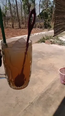 #larangudan #tayubtuban #fyp 