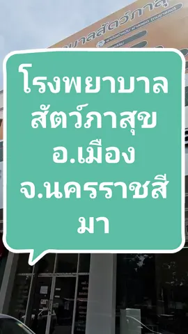 แนะนำร้านสัตวแพทย์ โรงพยาบาลสัตว์ภาสุข อ.เมือง จ.นครราชสีมา #CapCut #โรงพยาบาลสัตว์ #คลินิกรักษาสัตว์ #สัตวแพทย์ #tiktokสัตว์เลี้ยง #สัตว์เลี้ยงน่ารัก #รักสัตว์ #สัตว์เลี้ยงtiktok #คนรักสัตว์ #ทาสหมา #ทาสแมว #ทาสแมวก็งี้เเหละ #โรงแรมสัตว์เลี้ยง #อาบน้ําตัดขน 