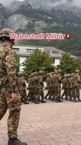新兵们的阅兵步伐如同一台精密的机器，每一步都如出一辙。这是团队默契和纪律的杰出体现🇨🇭#坚韧成长  #瑞士服兵役 #swissmilitär #switzerland #schweizermilitär 