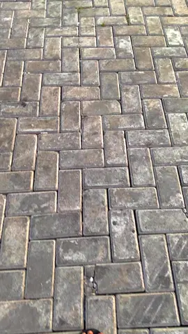 Aihh🫶🏻#nttpride🏝🔥  