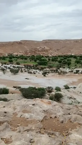 اليمن _ شبوه _ عرماء ####