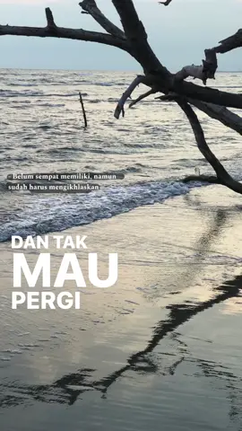 #lyrics #4u #galaubrutal #fypppp 