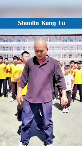 Shaolin Kung Fu #selfdefense #kungfu #foryoupage #tiktok 