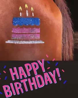 Who doesnr want ro celebrate their birthday or your four legged besty with our Birthday Glittermarx!  #mlp #horses #fyp #horsesoftiktok #birthday #barrelracing #eventing #glitteryourride #horsebackriding #crosscountry #glitter #rodeo #mylittlepony #glittermarx 