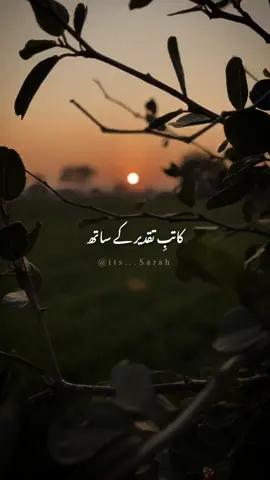 ℋ𝒶𝓎ℯℯ💔 #SadLines #sarahstatus #poetrystatus #urdushayari #fyp #shaukatfehmi #urdupoetry #shayri 