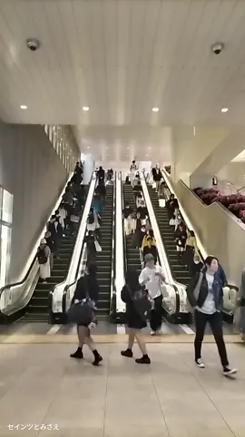 千葉某駅のエスカレーター🚉