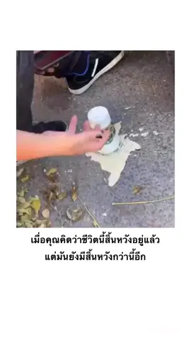 ในความโชคร้าย ก็ยังมีความโชคร้าย #คลิปตลก #มีมตลกๆ #คลิปฮาน้ําตาไหล #คลิปตลกๆขําๆ🤣🤣 