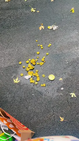 Well, that was depressing. :( #pickles #humor #brokenjar #funny 