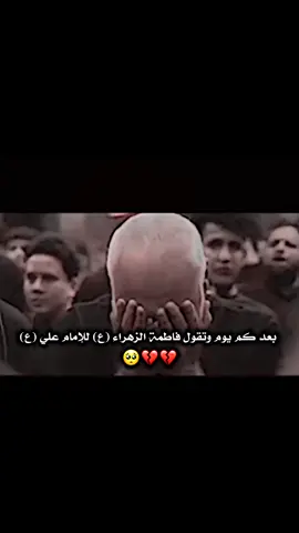 بعد كم وتقول فاطمة الزهراء (ع)للإمام علي (ع).🥺💔.#هيلين_حرب #المصممةحربية #المصممةحربيةللمنية #مرتضى_حرب 