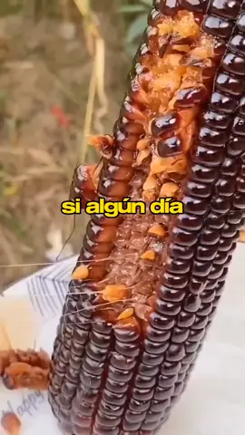 Aunque no lo creas, estos hechos podrían salvarte en algún momento. #hechoscuriosos #hechos #datoscuriosos #datos #viral 