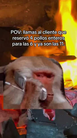 Donde estás chakalito? 🥲  #CapCut #Meme #humor #peru #pollo #polloalabrasa #comi #restaurante 