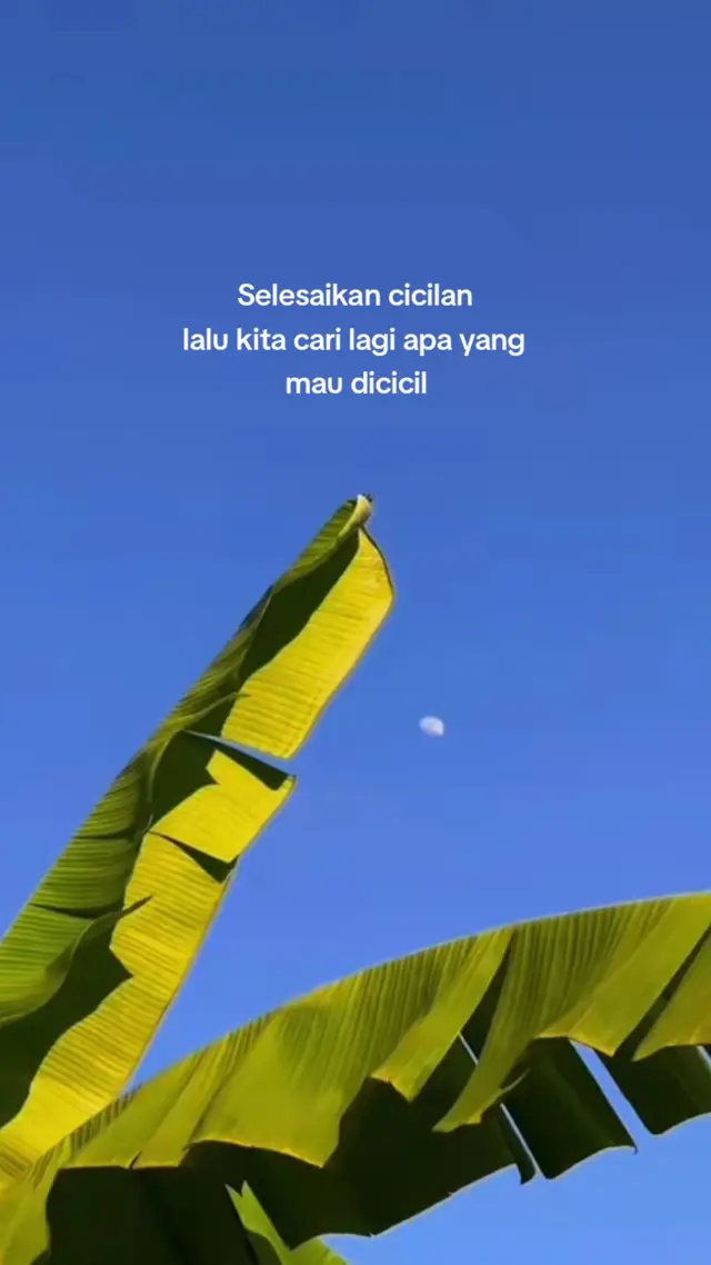 #bantaengsulsel #storykatakatabatak #stoeytime #AQUADULU #watsappstatus #fyp #stor #storywatsappkeren🤙 #AQUA #storywatsapp2021 #katakata #storywatsapp #story 