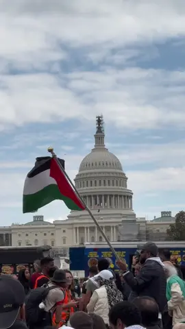Washington, D.C 📍#palestine #ceasefire #freepalestine🇵🇸❤️ #rally #protest