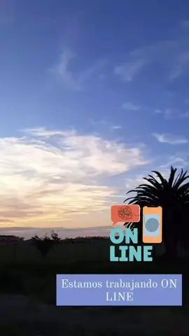 Estamos trabajando ON LINE Podes ver el catálogo acá  https://wa.me/c/5492215420556 Tenemos showroom en La Plata y hacemos envíos a todo el país.  . . . . . . #pyf #corpiñosplussize  #corpiñosdeportivos #tallesrealeslaplata #martarres #corpiñosplussize #topdeportivos #topsgrandesargentina #