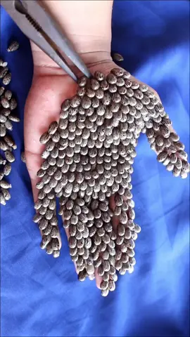 PART9:REMOVED TICKS#ticks #bigtick #fyp #foryou #fypシ゚viral #satisfying 