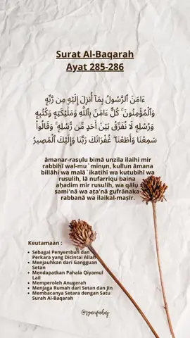 #suratalbaqarah  #keutamaansurahalbaqarah  #masyaallahtabarakkallah 